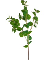 Kunstig Eucalyptus gren Grønn 70cm