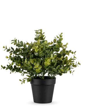 Kunstig Eukalyptus Plante i Potte 25cm