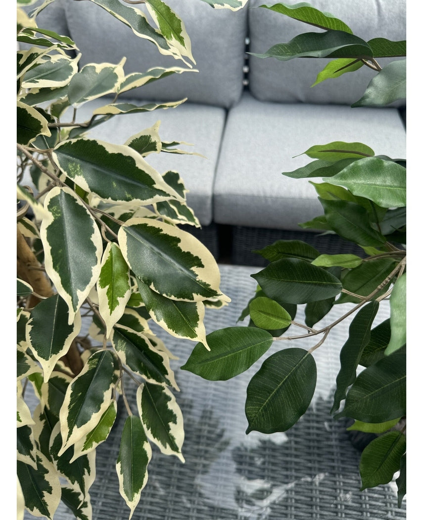 Kunstig Fat Fikus Grønnhvit 90cm