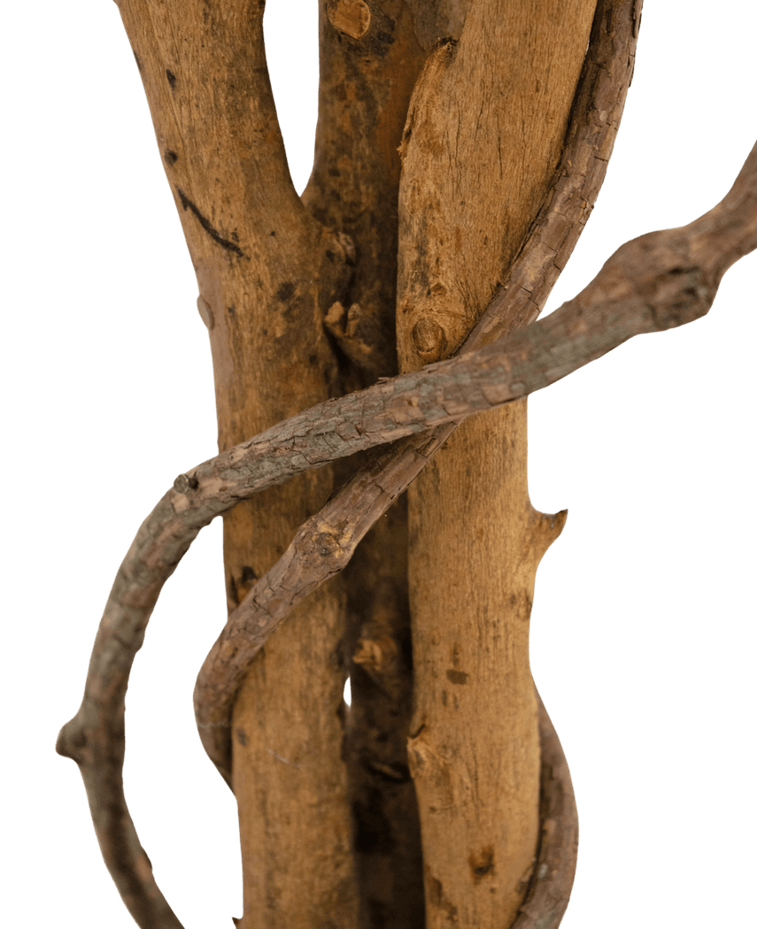 Kunstig Fat Fikus Grønnhvit 90cm