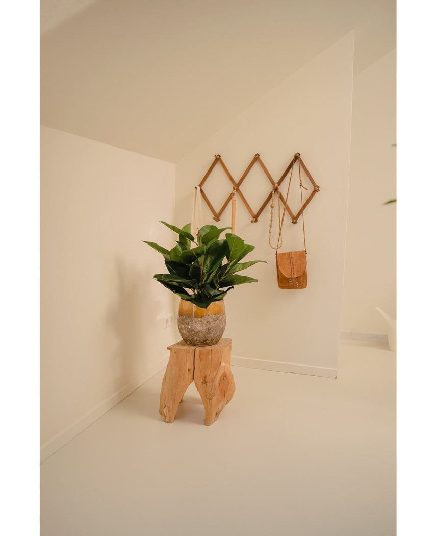 Kunstig Fikus Gummiplante i Potte 51cm