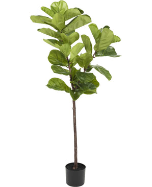 Kunstig Fiolinfiken Tre Deluxe 150cm