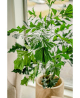 Kunstig Fishtail Palme 200cm