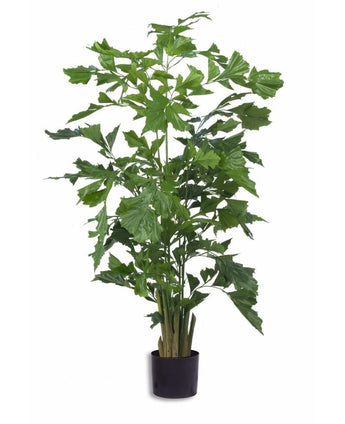 Kunstig Fishtail Palme 200cm