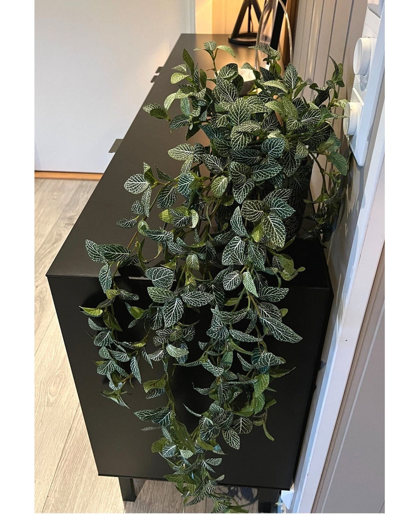 Kunstig Fittonia Miniblad Grønnhvit 90cm
