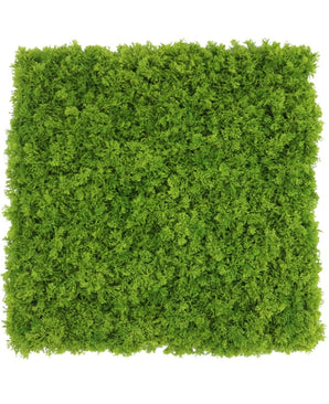 Kunstig Fjellmosevegg Brannsikker 50x50cm