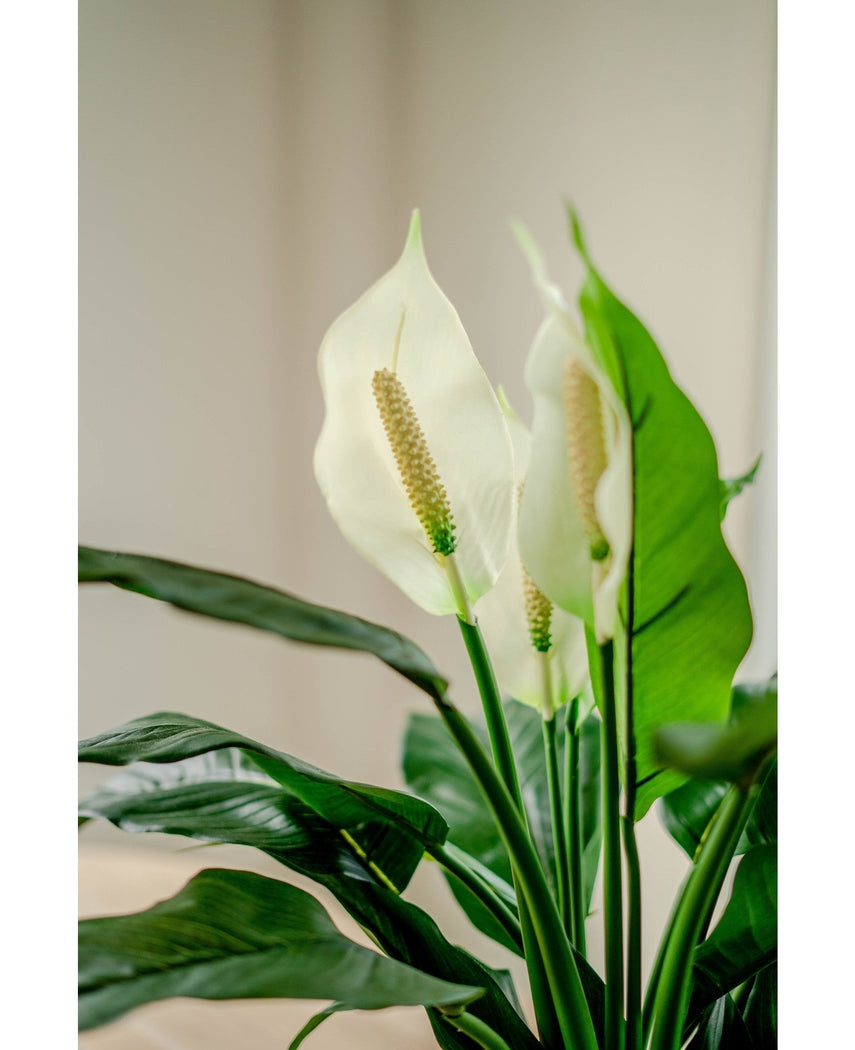 Kunstig Fredslilje Spathiphyllum 85cm