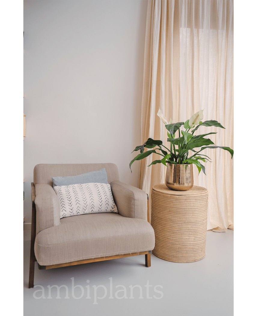 Kunstig Fredslilje Spathiphyllum 85cm