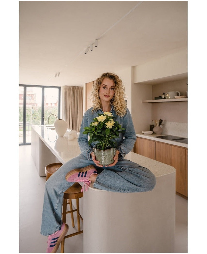 Kunstig Gardenia Gul 39cm