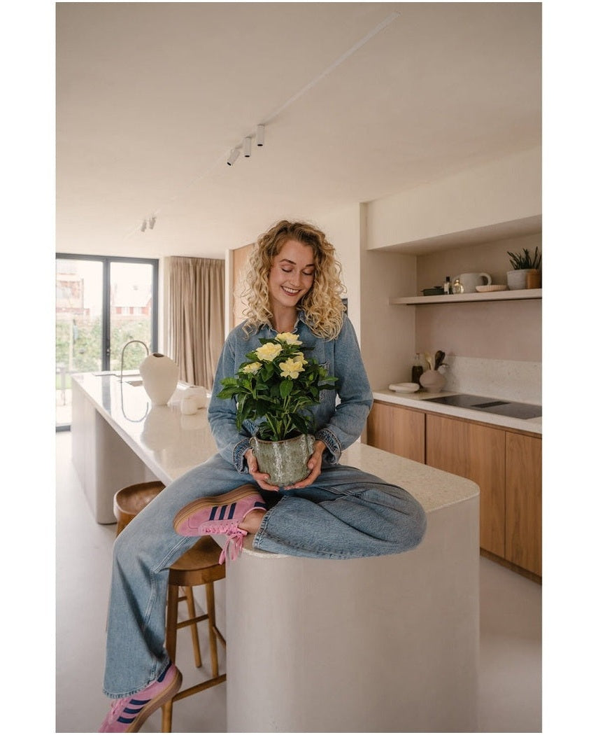 Kunstig Gardenia Gul 39cm