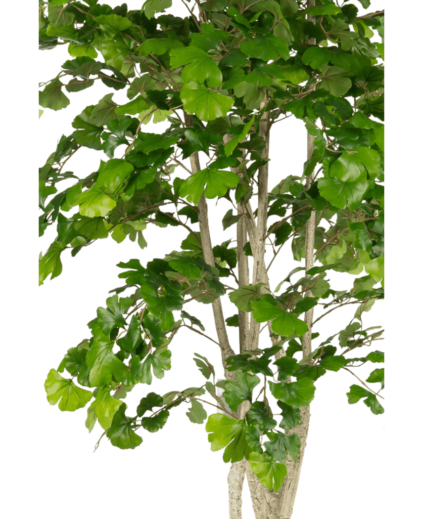Kunstig Gingko Tempeltre 180cm