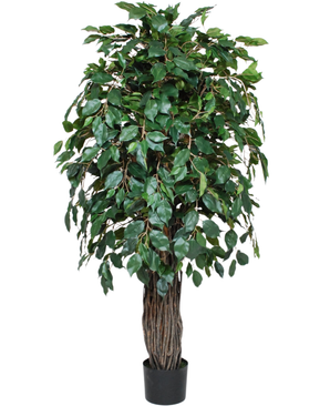 Kunstig Gråtende Fikus Benjamina 150cm