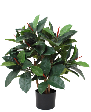 Kunstig Gummiplante 75 cm