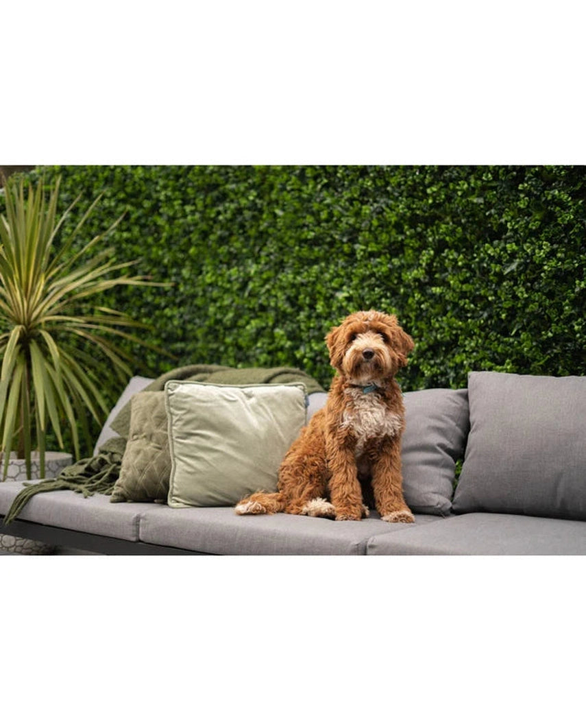 Kunstig Hagemiks Plantevegg 50x50cm UV