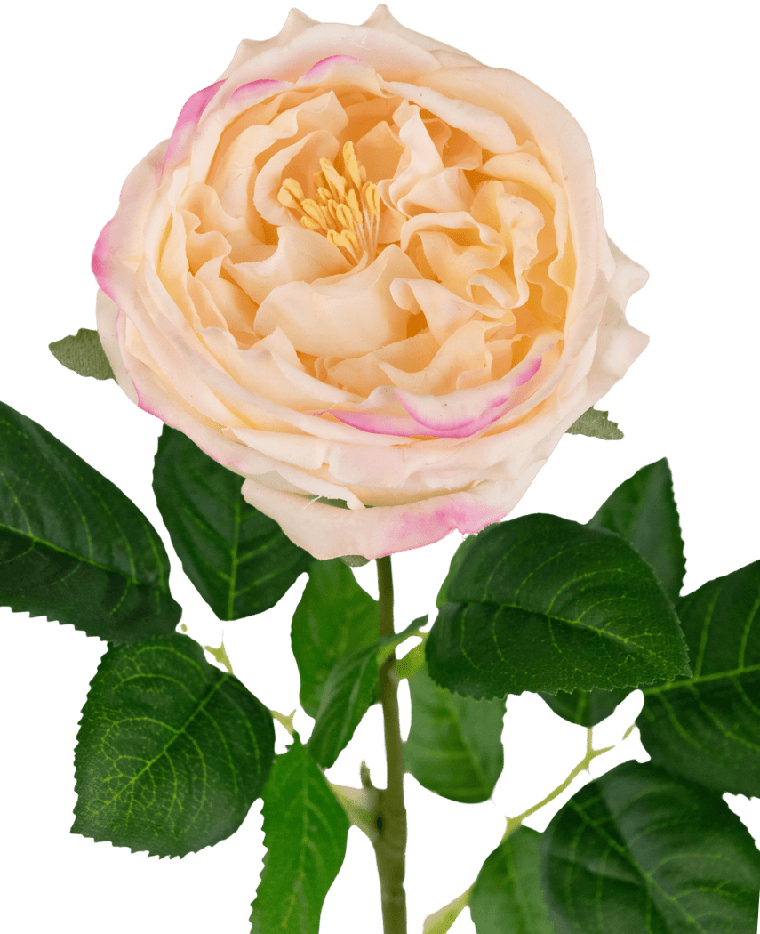 Kunstig Hagerose "Anniken" Real Touch peach 72cm