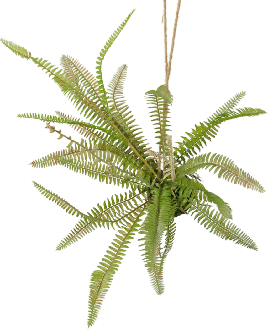 Kunstig hengende plante bregnekule 45 cm – ambiplants.no