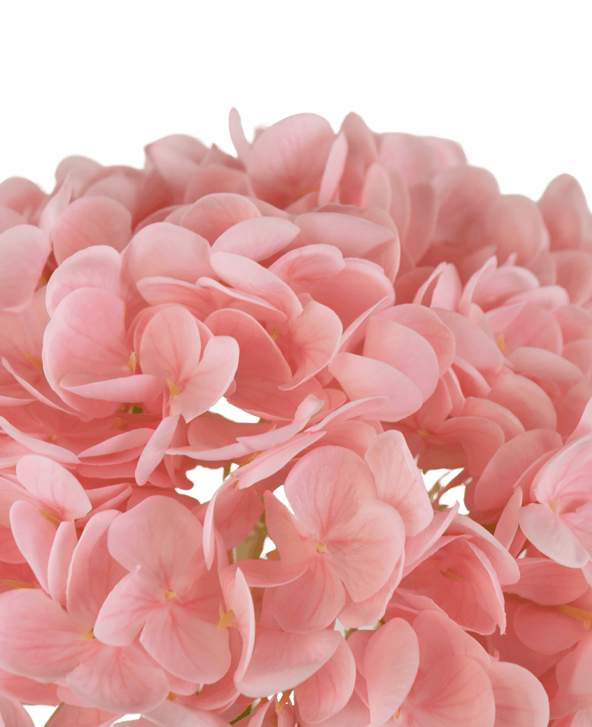 Kunstig Hortensia "Annabelle" Real Touch Rosa 55cm
