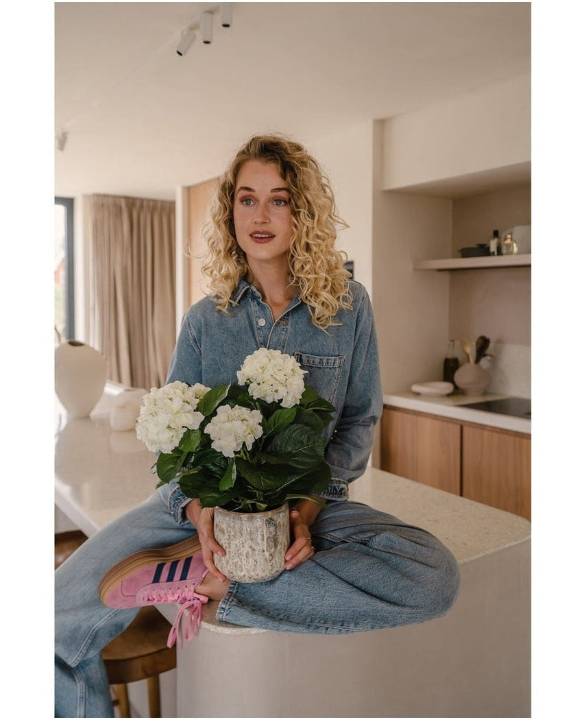 Kunstig Hortensia Deluxe Kremhvit 43cm