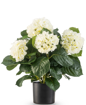 Kunstig Hortensia Deluxe Kremhvit UV 43 cm