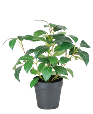Kunstig Jasminplante i Potte UV 25cm