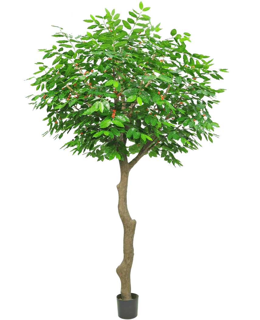 Kunstig Kaffetre 300cm
