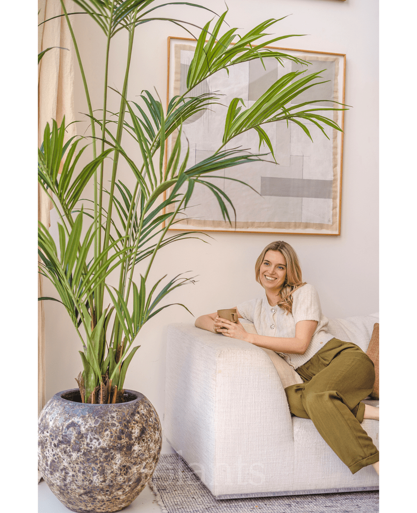 Kunstig Kentia Palme 220cm