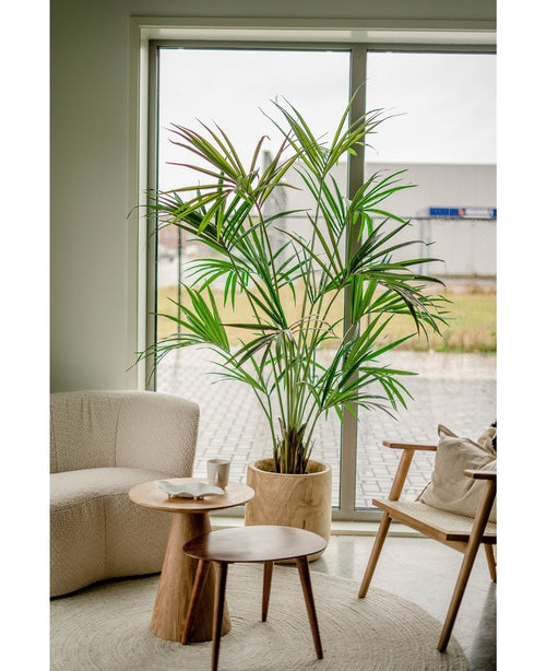 Kunstig Kentia Palme Brannsikker 190cm