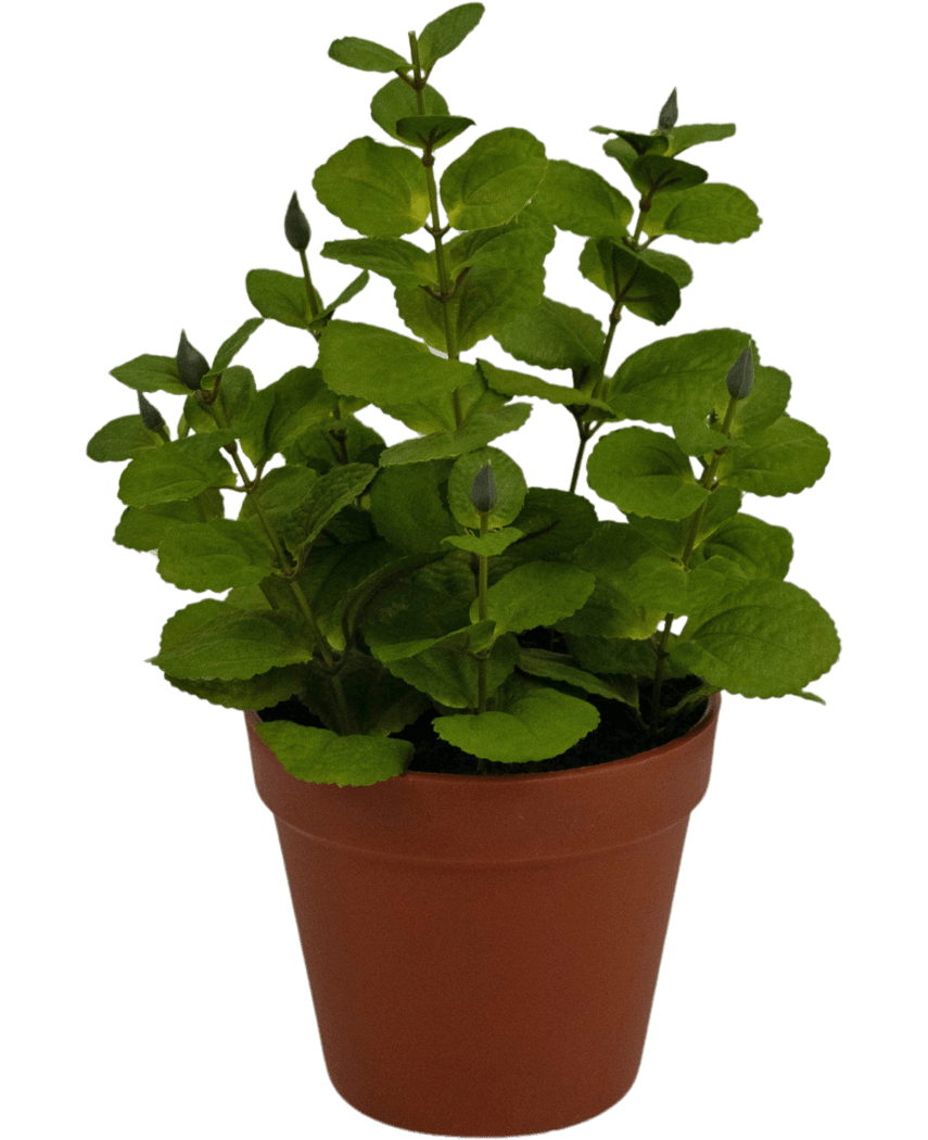 Kunstig Krydderplante Mynte 30cm