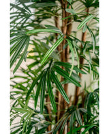 Kunstig Lady Palme 210cm