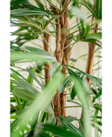 Kunstig Lady Palme 210cm
