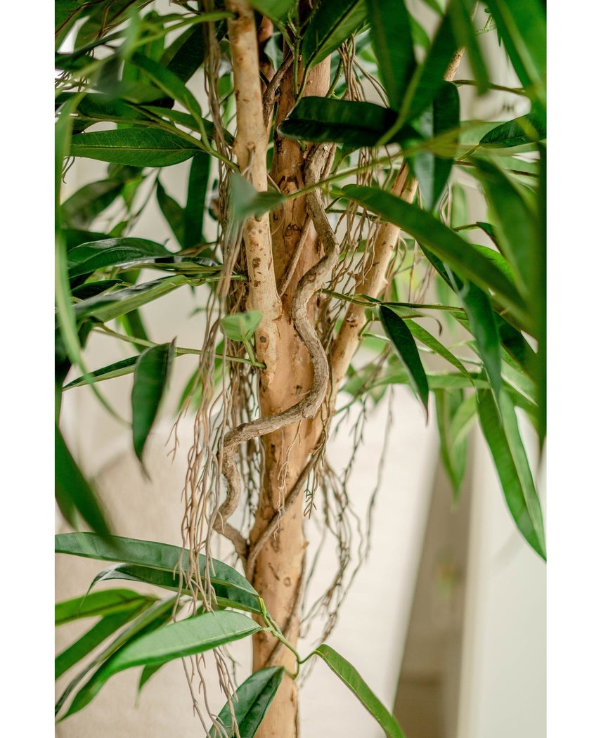 Kunstig Longifoloia Royal 180cm