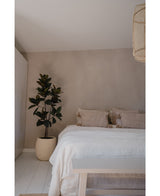 Kunstig Magnolia ‘Teddy Bear’ Tre 150cm