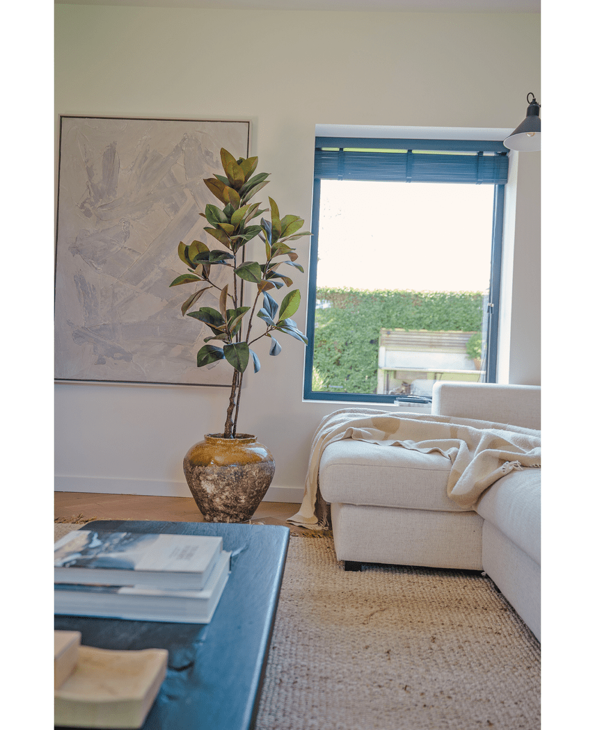Kunstig Magnolia ‘Teddy Bear’ Tre 150cm