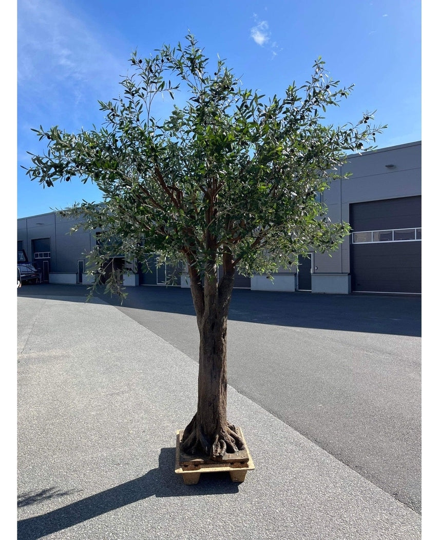 Kunstig Majestetisk Oliventre m/Oliven 320cm