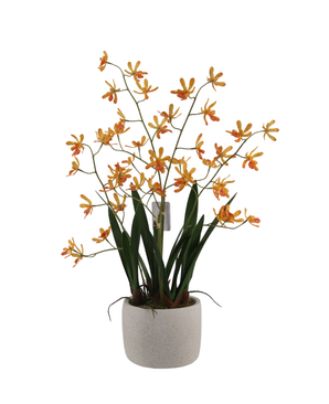 Kunstig Mini-Ascda Orkide Fersken 4 stilker 60cm