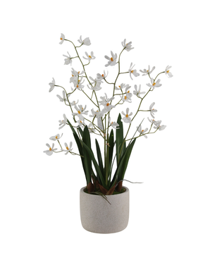 Kunstig Mini-Ascda Orkide Hvit 4 stilker 60cm