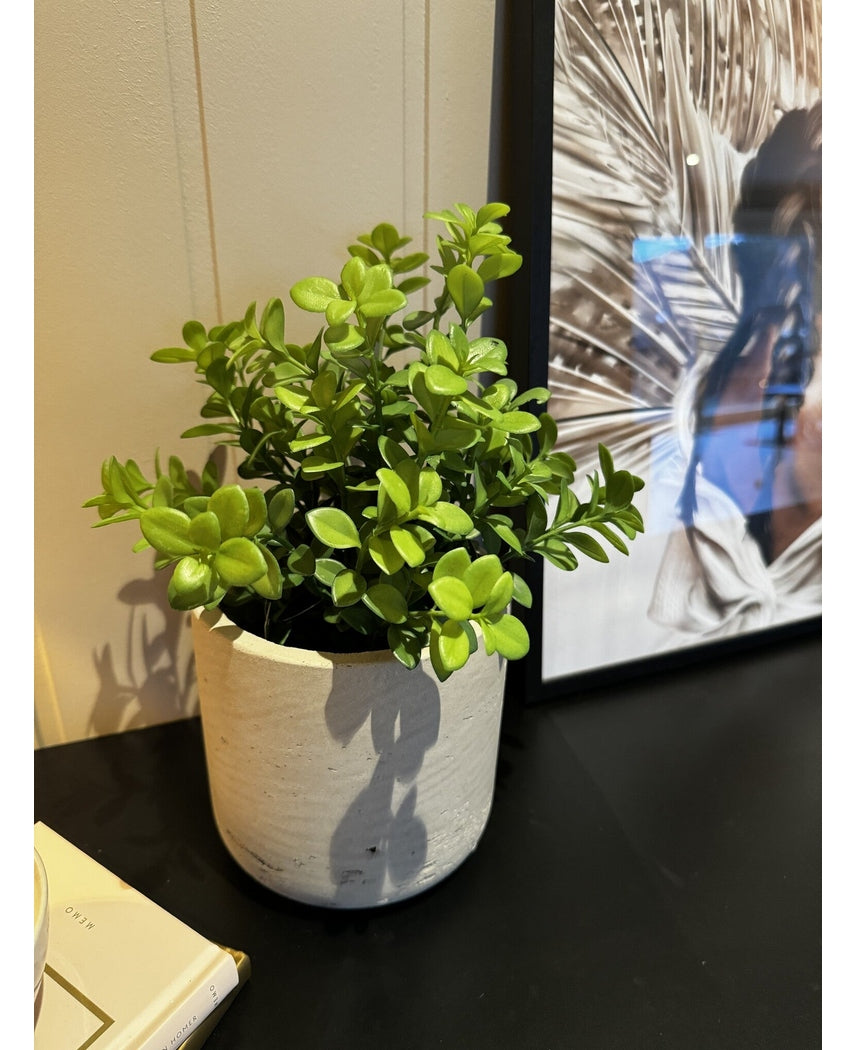 Kunstig Mini Eukalyptus 27cm