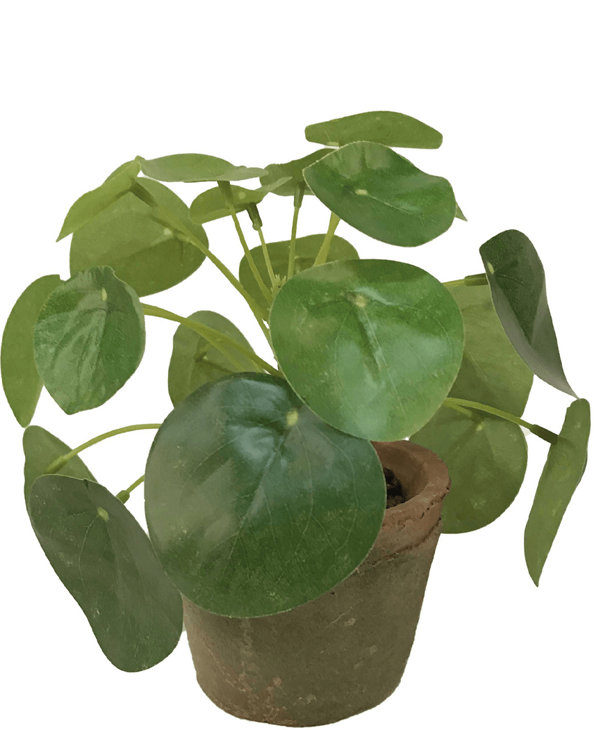 Kunstig Mini Pengeplante i Retropotte UV 15 cm