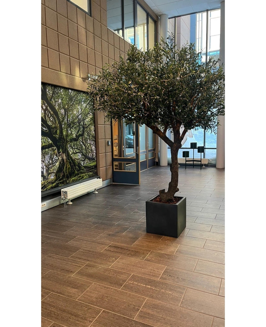 Kunstig Oliventre Gigant 300cm
