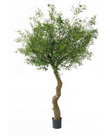 Kunstig Oliventre Gigant m/Oliven 270cm