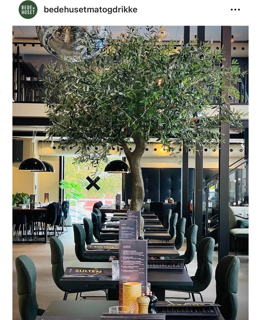 Kunstig Oliventre Gigant m/Oliven 270cm