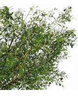 Kunstig Oliventre Gigant m/Oliven 270cm