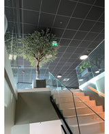 Kunstig Oliventre Gigant m/Oliven 300cm