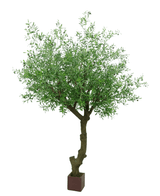 Kunstig Oliventre Gigant m/Oliven 300cm