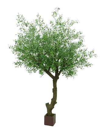 Kunstig Oliventre Gigant m/Oliven 300cm