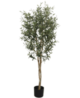 Kunstig Oliventre m/Oliven UV 160 cm
