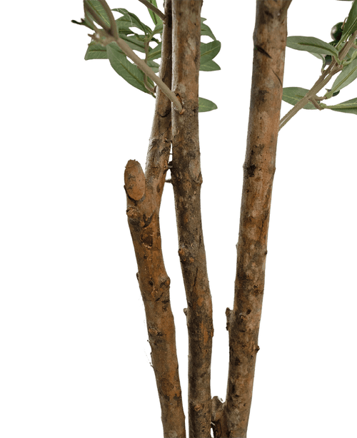 Kunstig Oliventre UV 180 cm