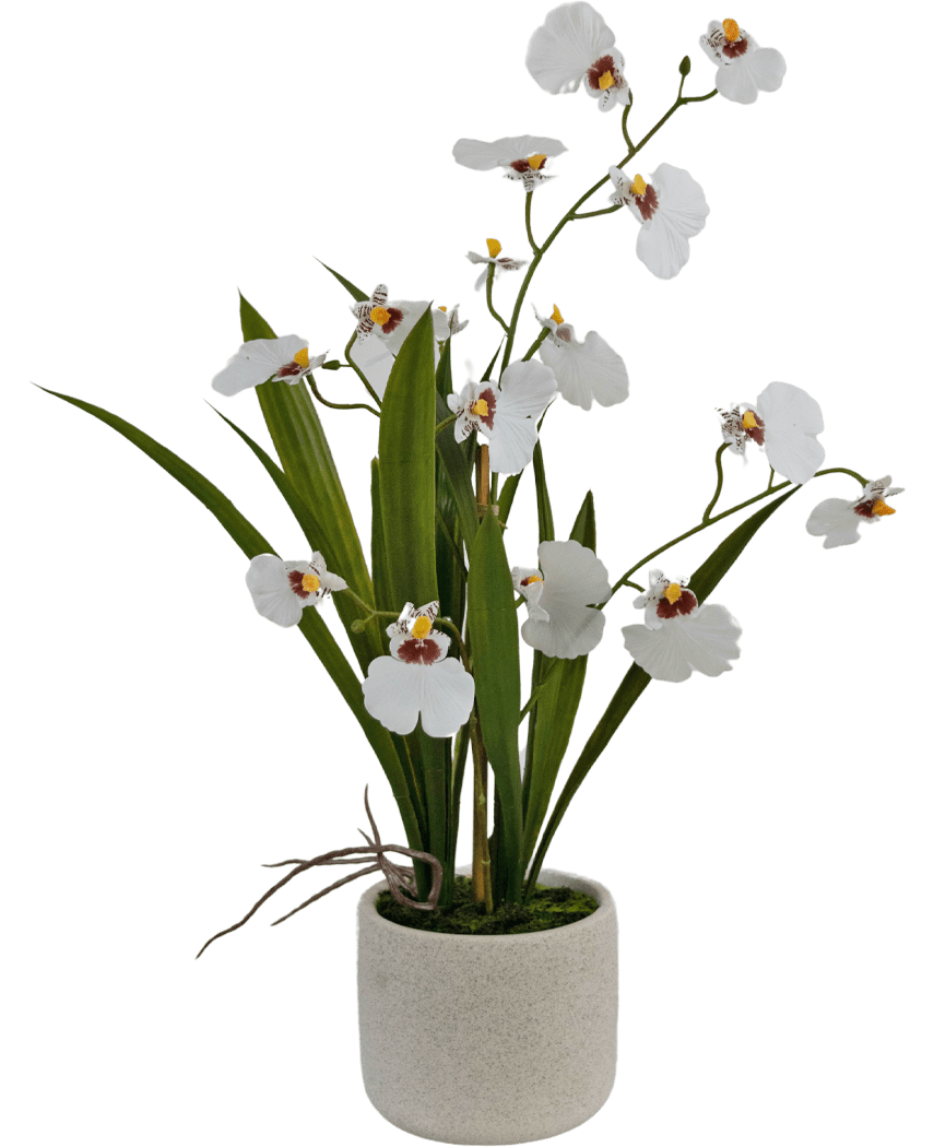 Kunstig Oncidium Orkidé Real Touch Hvit 48cm