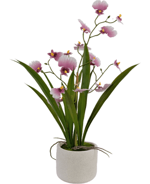 Kunstig Oncidium Orkidé Real Touch Rosa 48cm