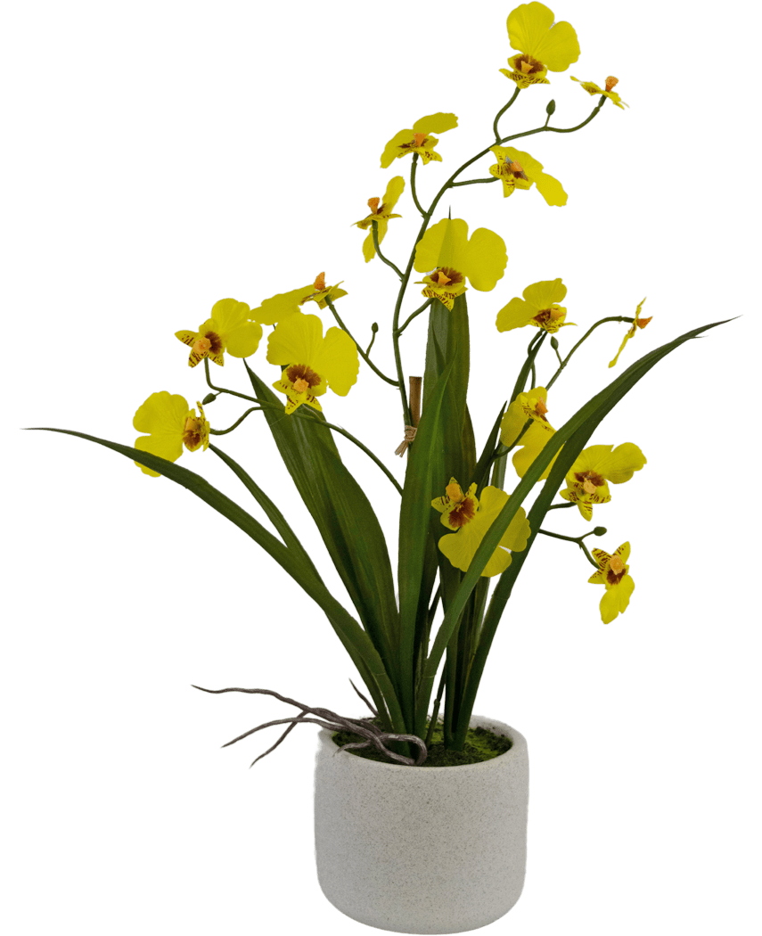 Kunstig Oncidium orkidé Real Touch Gul 48cm
